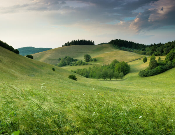 seo plus content engine — expert-written articles for small business